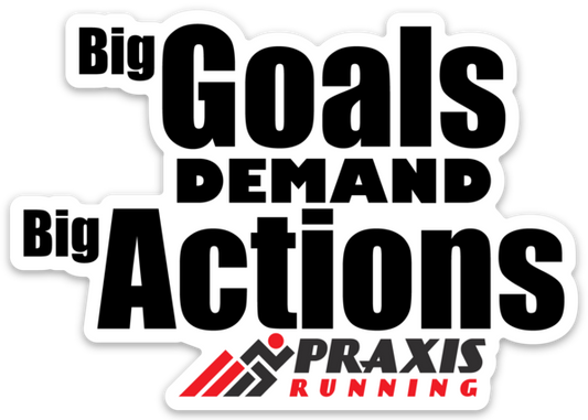 Big Goals Demand Big Actions Sticker 4"x2.82"